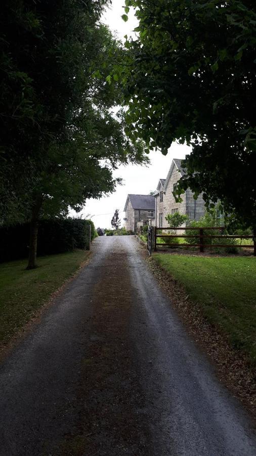 Lorum Old Rectory Bagenalstown Zewnętrze zdjęcie