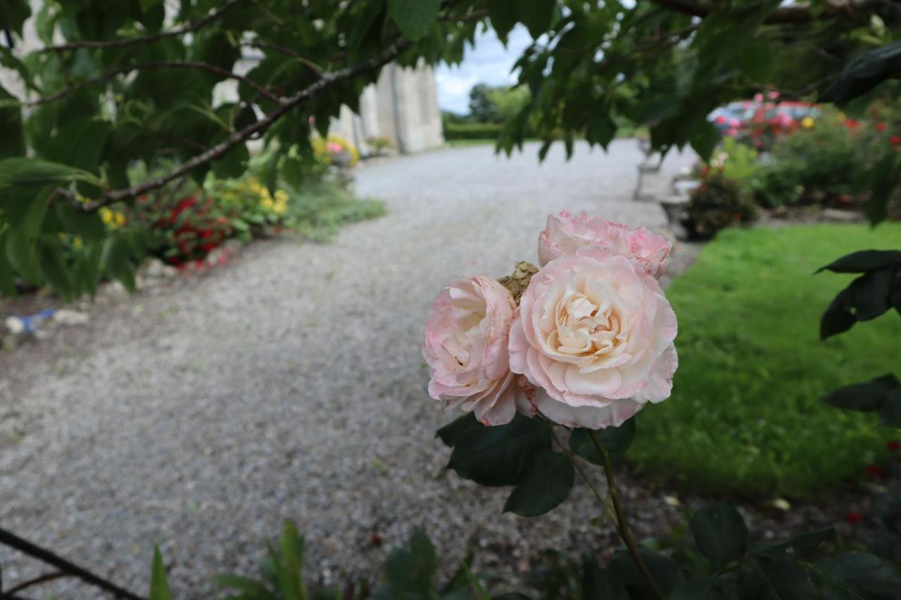 Lorum Old Rectory Bagenalstown Zewnętrze zdjęcie
